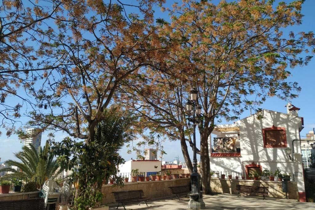 San Antonio Villa Alicante Dış mekan fotoğraf